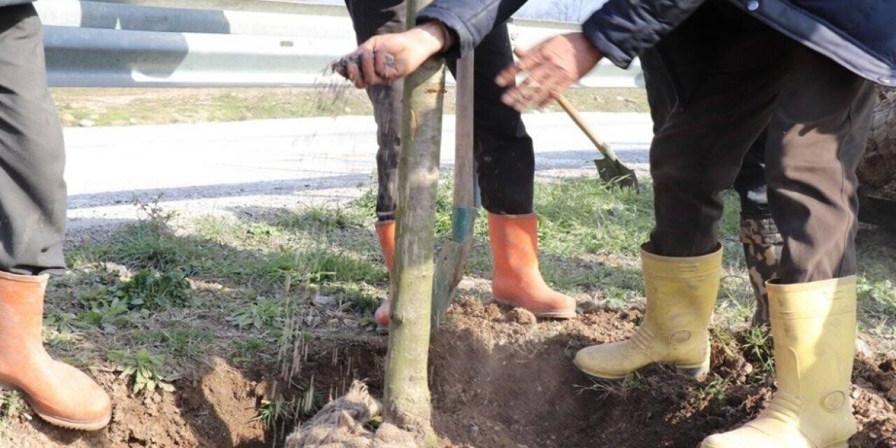 Çamköy kavşağına yeni görünüm