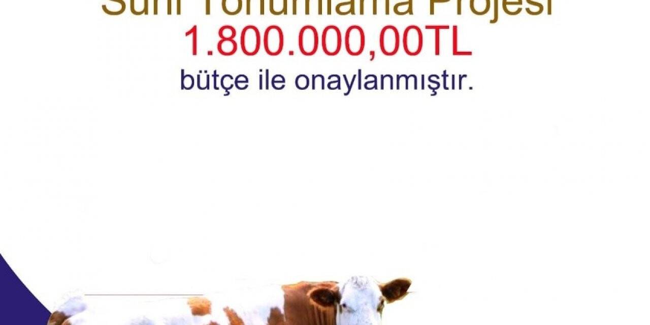 Bayburt’ta “Suni Tohumlama Projesi” için 1 milyon 800 bin TL’lik bütçe onaylandı