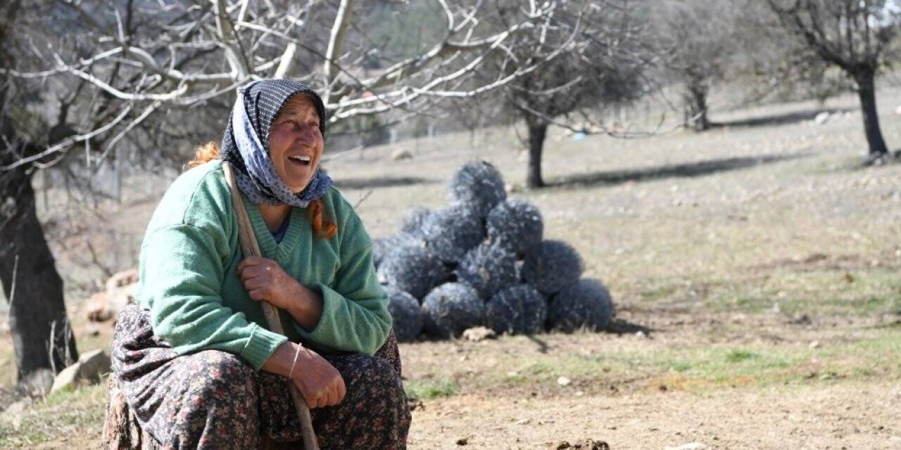 Fatma teyzenin 62 yıllık çobanlık hikayesi