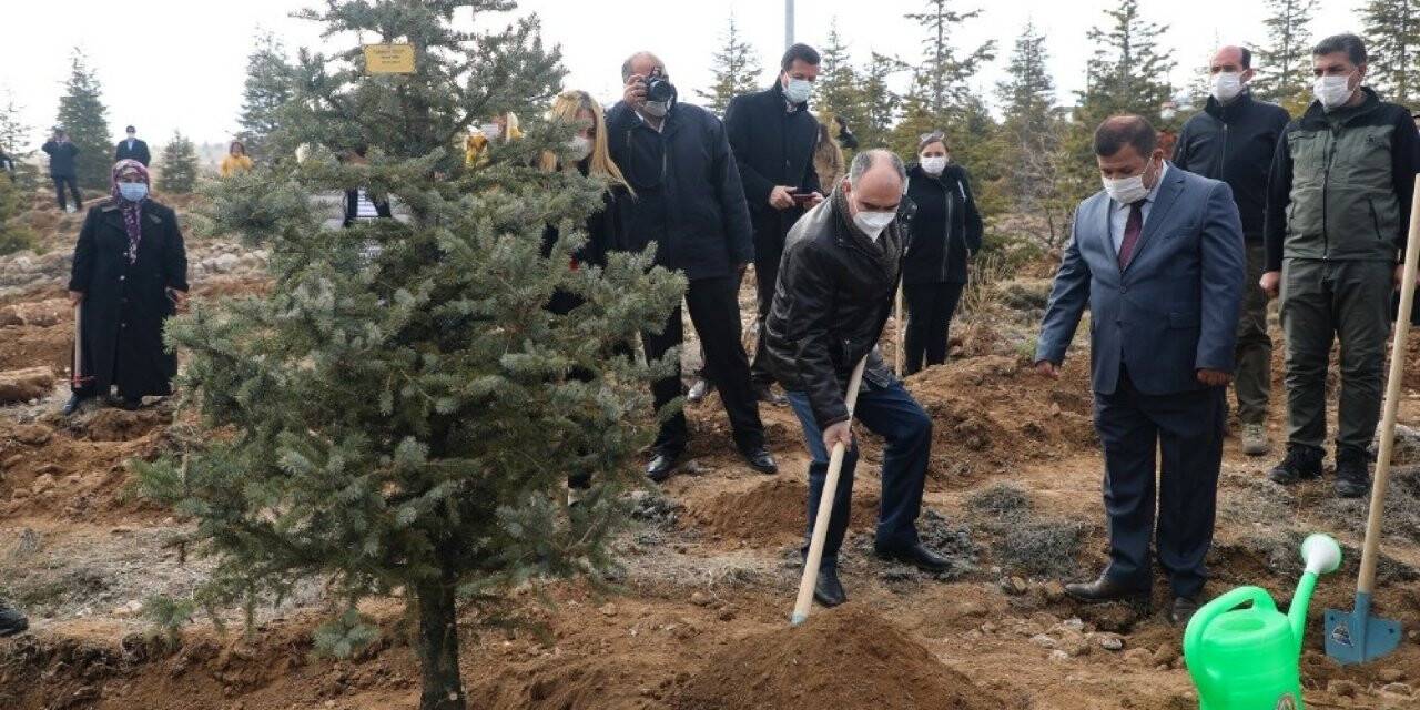 Konya’da 8 Mart Dünya Kadınlar Günü’nde fidan dikimi yapıldı