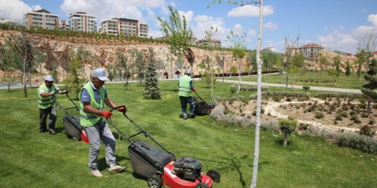 Park ve bahçe malzemeleri satın alınacak