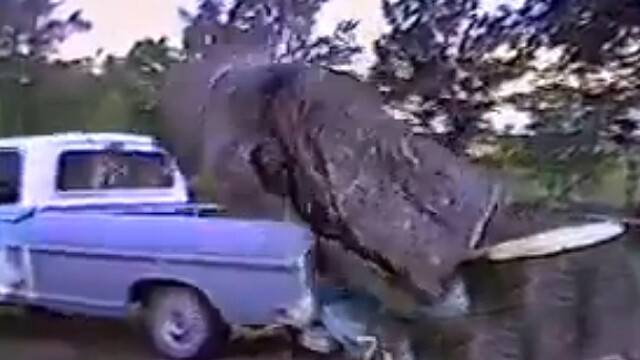 Kestiği Ağaç, Arabasının Üstüne Devrildi