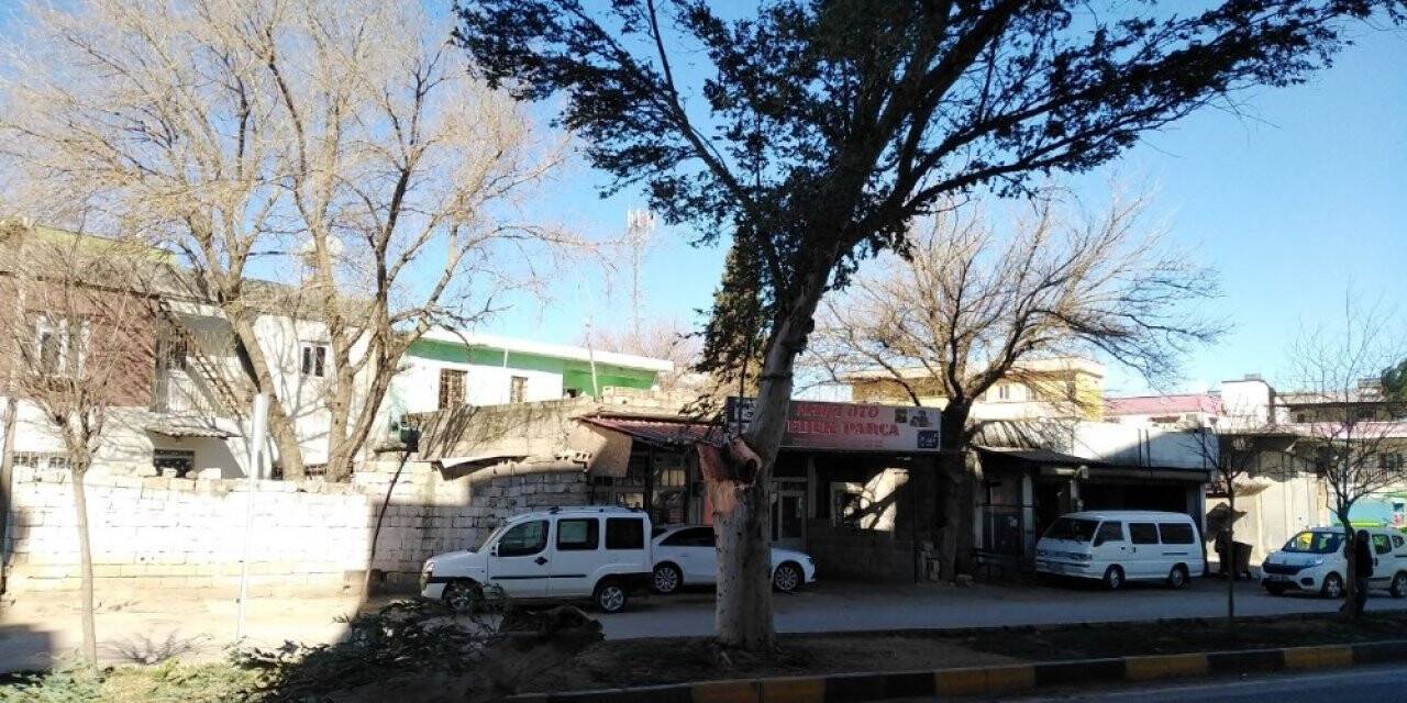 Şiddetli rüzgar ağaçları devirdi, çatıları uçurdu