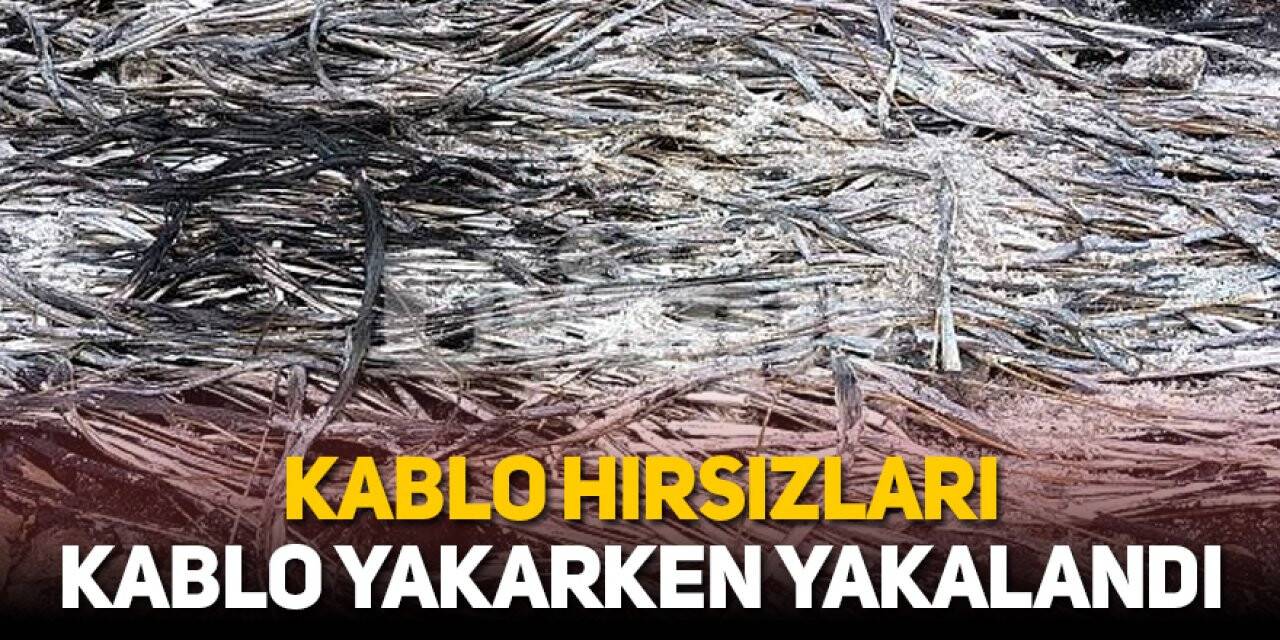 Kablo hırsızları kabloları yakarken yakalandı