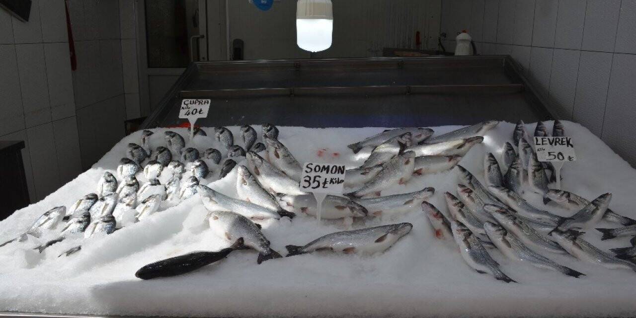 Tezgahlar havuz balıklarına kaldı