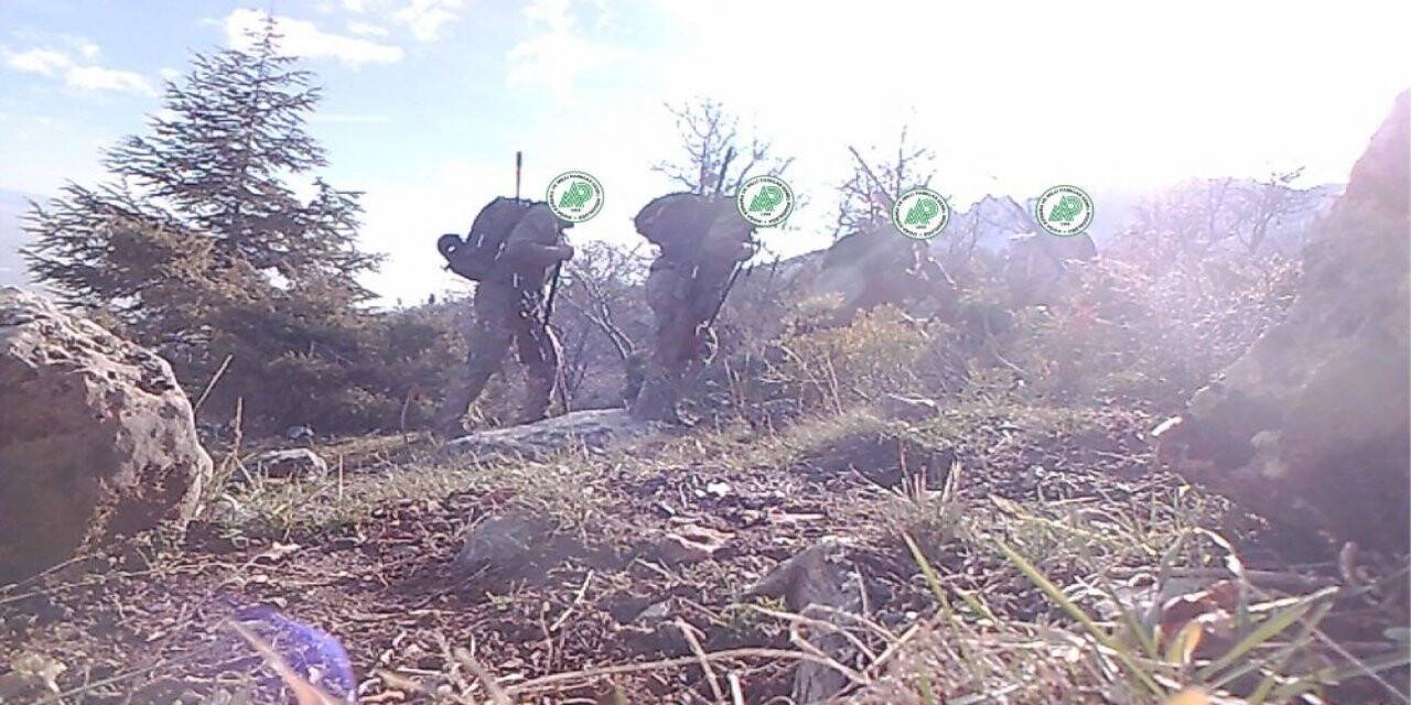 Konya'da usulsüz avlanırken, fotokapana yakalanan avcılar cezadan kurtulamadı