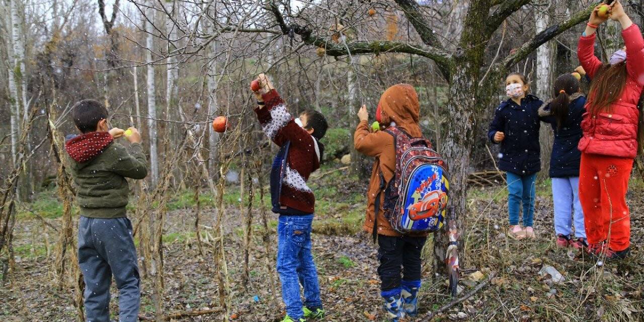 Konya'da minik öğrencilerin elmaları kuşlara hayat oluyor