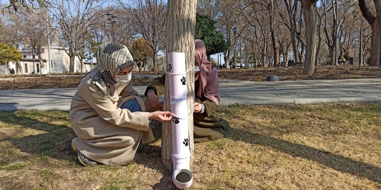 ‘Bir Kap Mutluluk’