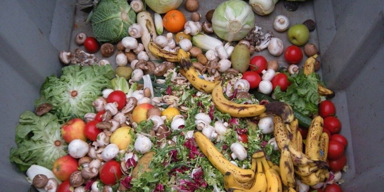 Gıda israfını önlemek için kollar sıvandı