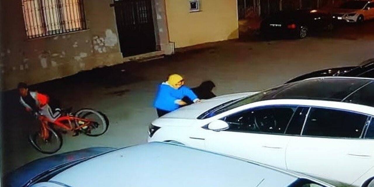 Konya’da 2 çocuk 25 arabayı çizdi