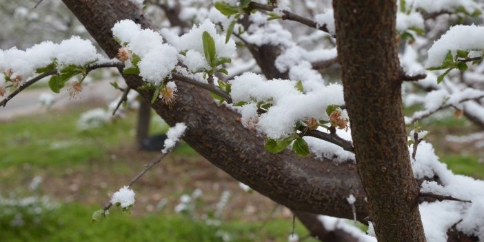 Turgutlu’da kar yağışı etkili oluyor