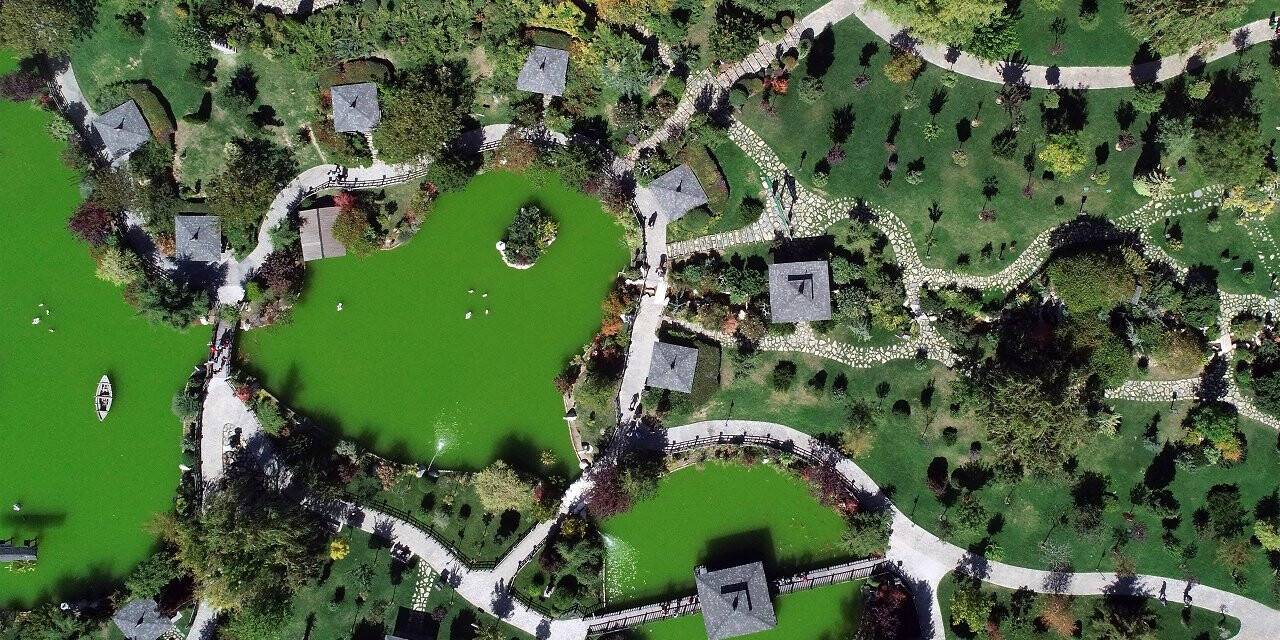 Japon Parkı ilkbahar renklerine büründü