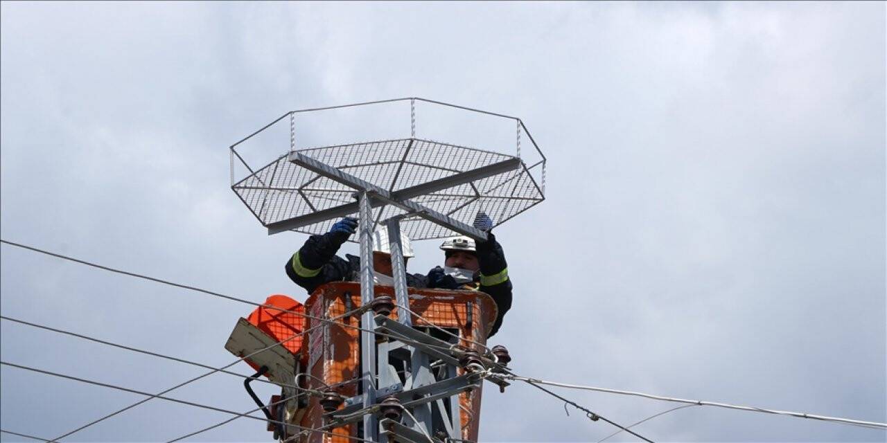 Tekirdağ'da leyleklerin akıma kapılmaması için elektrik direklerine özel platformlar kuruluyor