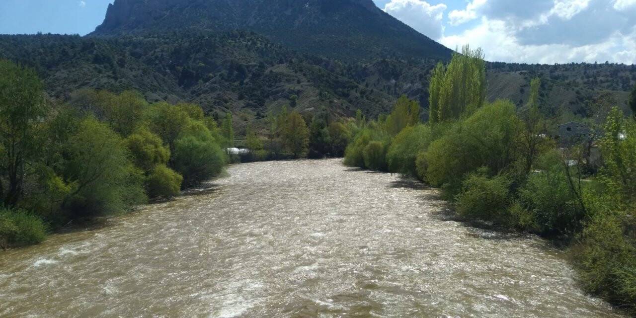 Yağışların etkisiyle Sakarya Nehri kahverengine boyandı