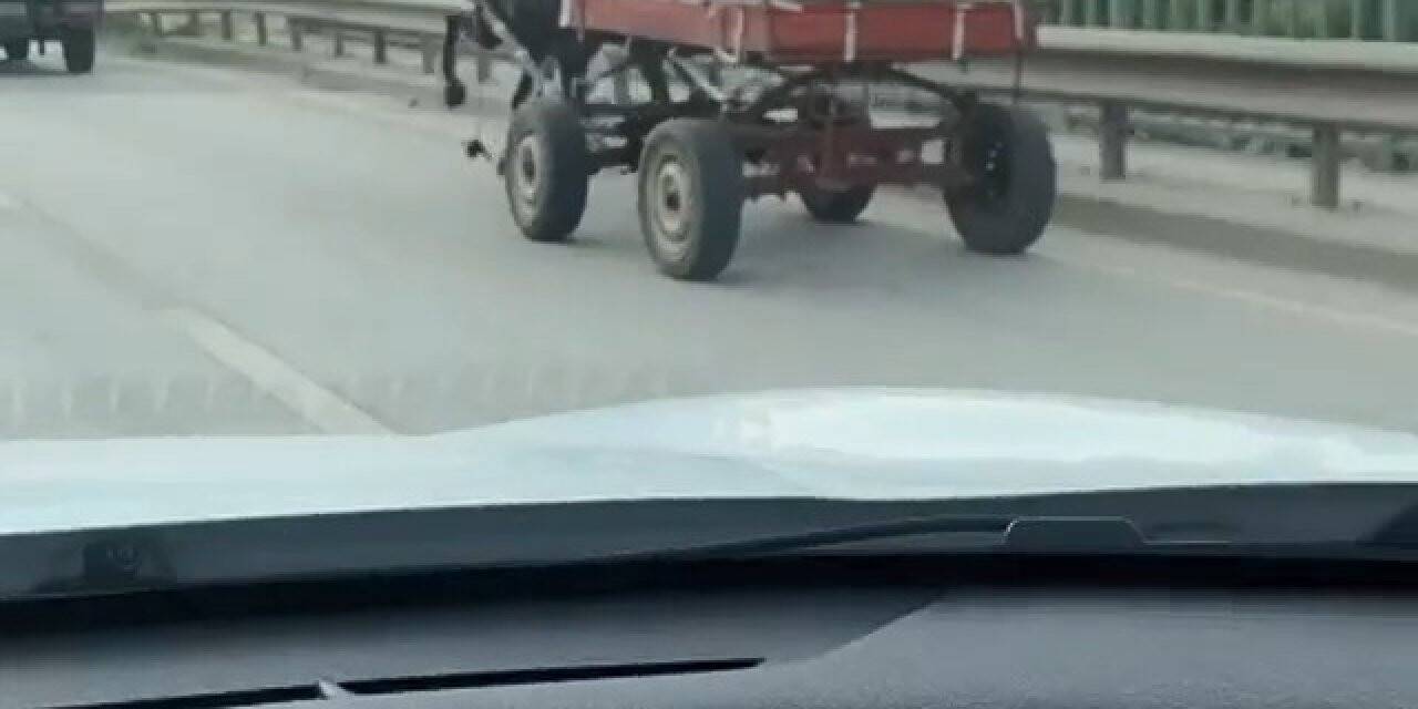 Sürücüsüz at arabası trafiği bir birine kattı