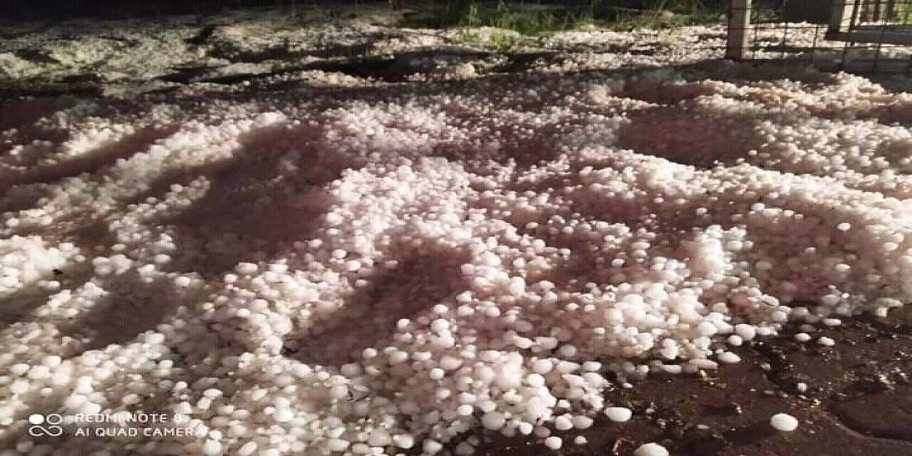 Dolu üzüm bağlarını vurdu