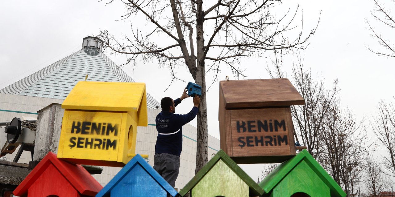 Konya'da şehir geneline 1250 yeni kuş evi yerleştirildi