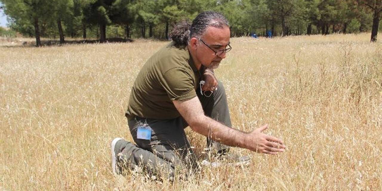 Ve Türkiye'ye girdi! Önüne ne gelse yiyor