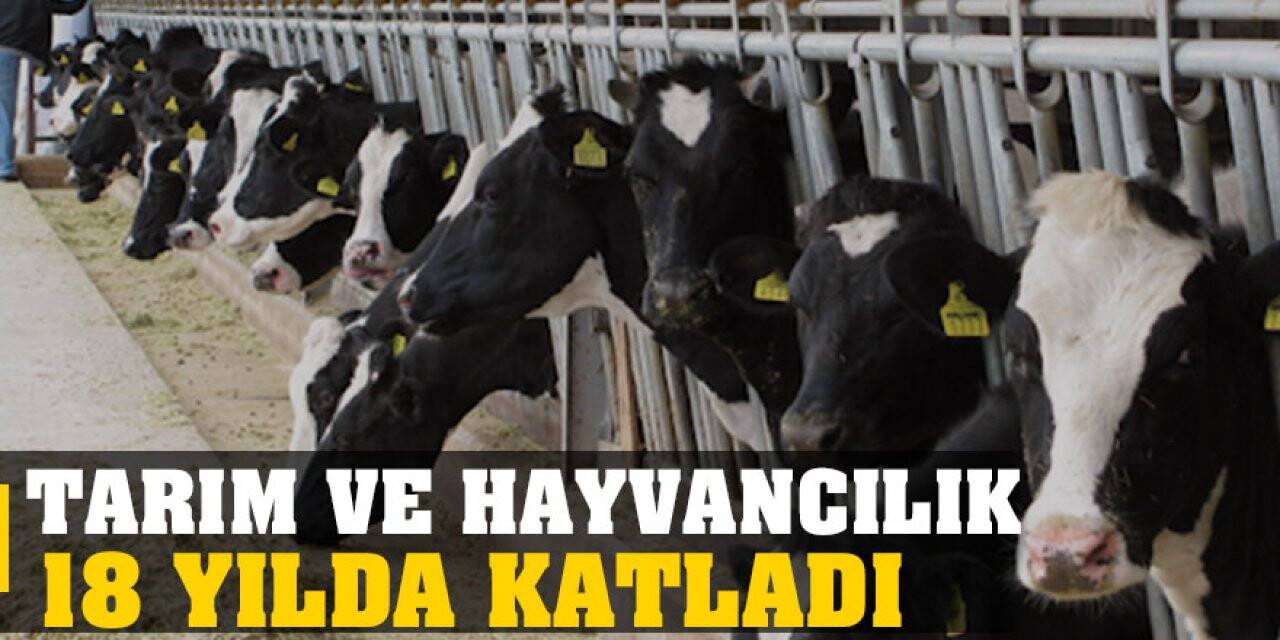 Tarım ve Hayvancılık 18 Yılda Katladı