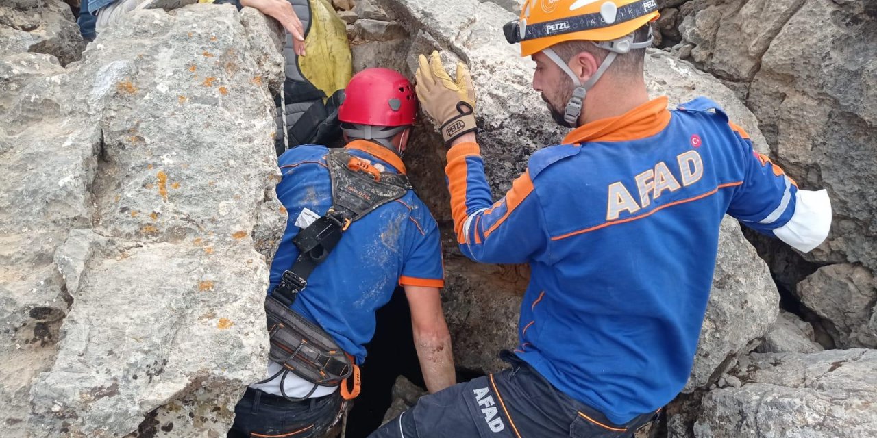 Konya'da kayalıklarda sıkışan oğlağı AFAD ekipleri kurtardı