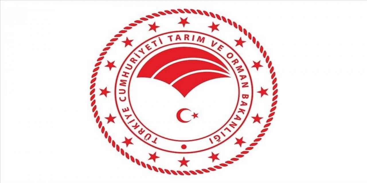 Gıda işletmelerine laktoz ve glüten talimatı