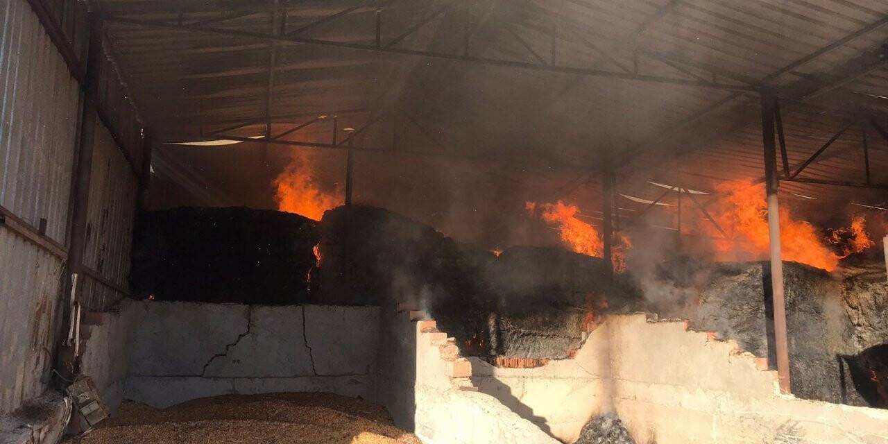 20 ton yem yanarak kül oldu