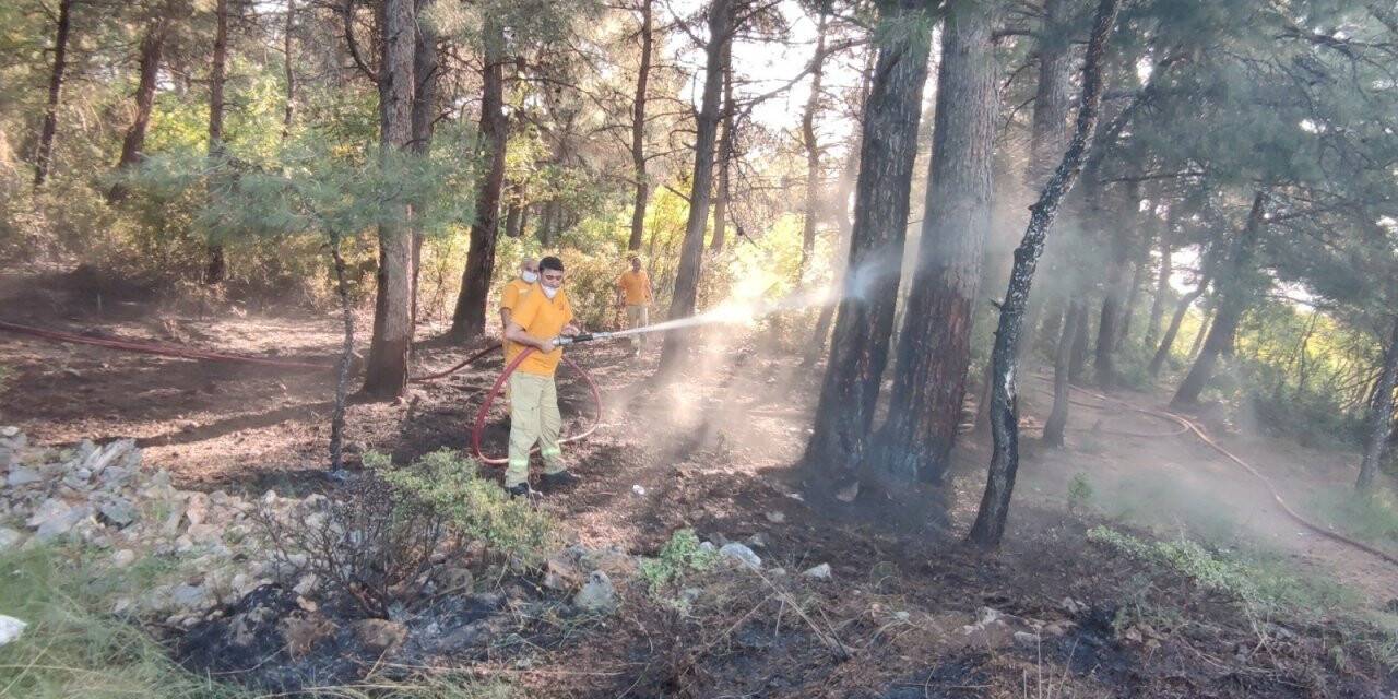 Kısıtlamada mangal keyfi ormanı yaktı