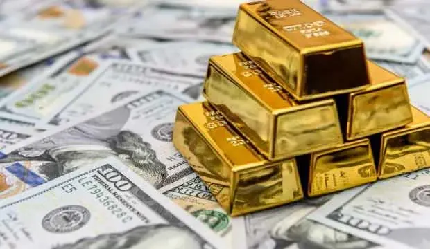 Dolar ve altındaki yükselişin nedeni belli oldu