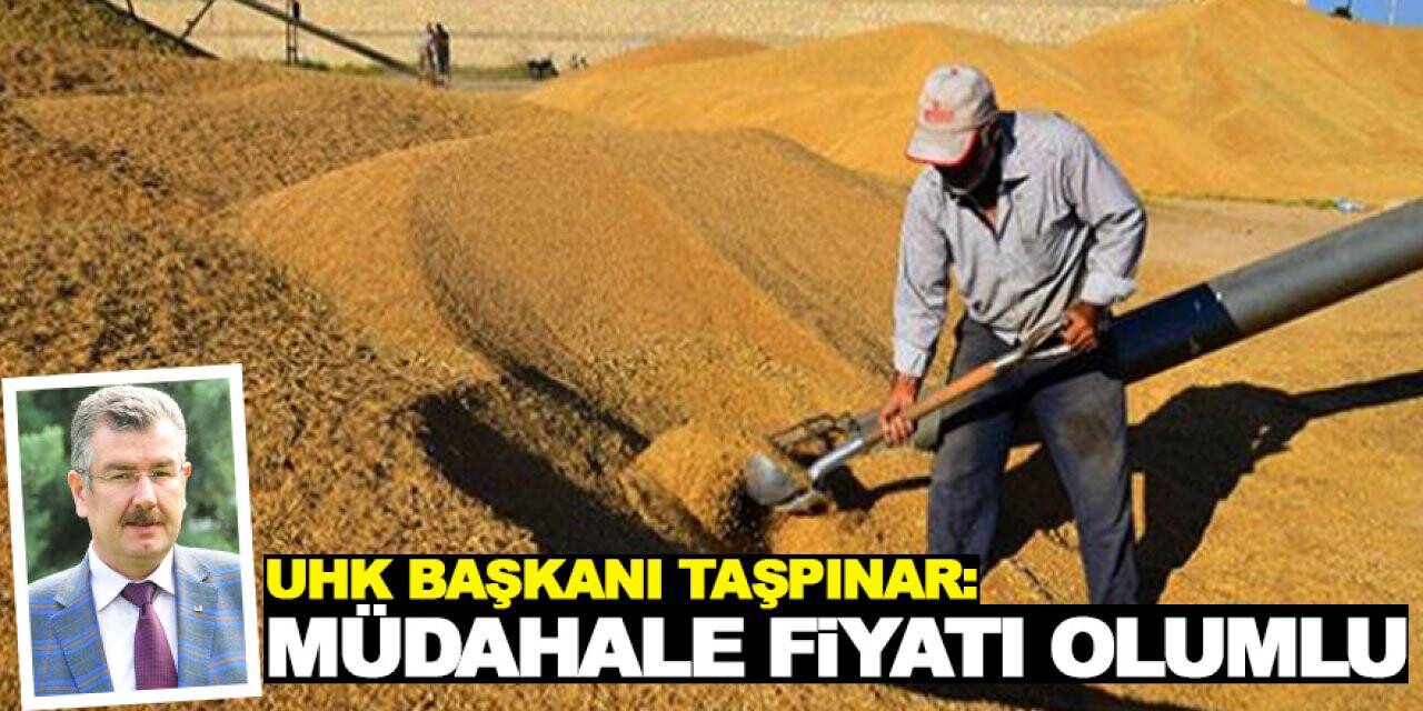 UHK Başkanı Taşpınar: Müdahale fiyatı olumlu