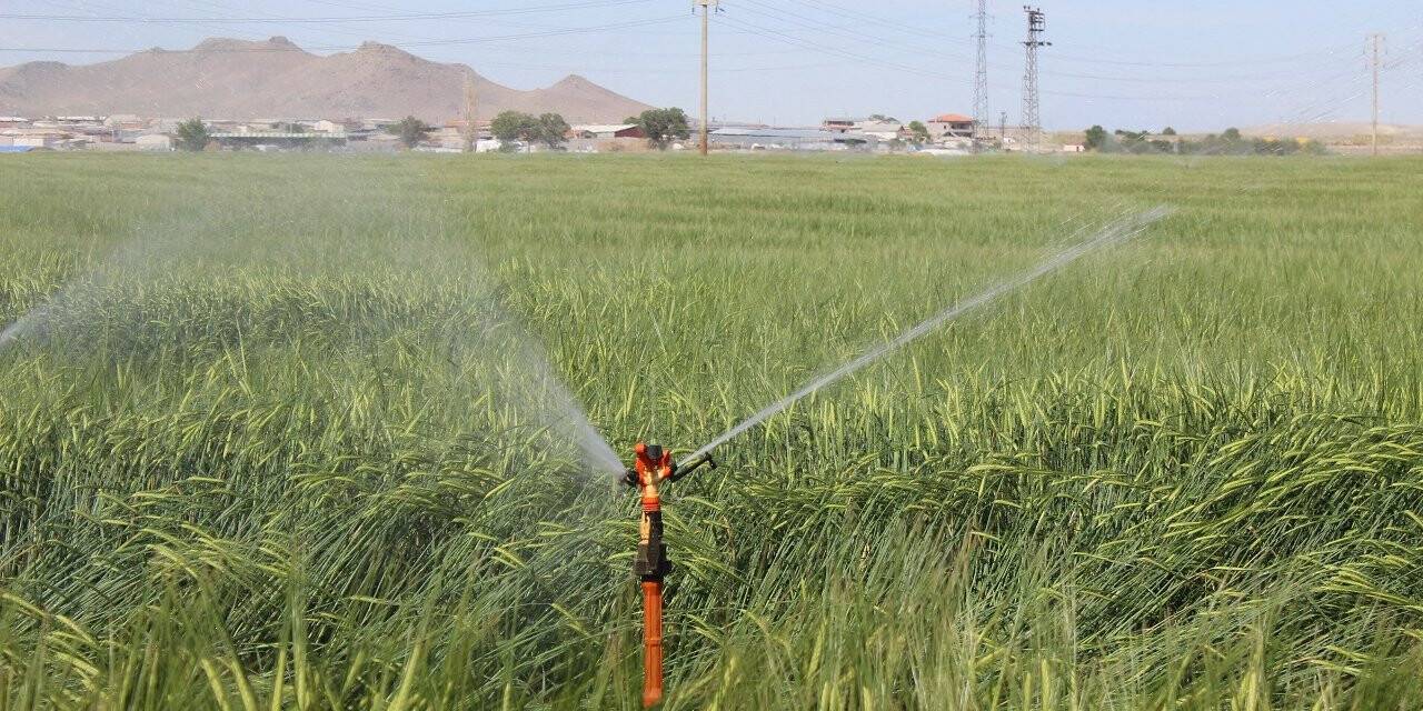 Karapınar'da kuraklık nedeniyle yeraltı suyu kullanımı arttı