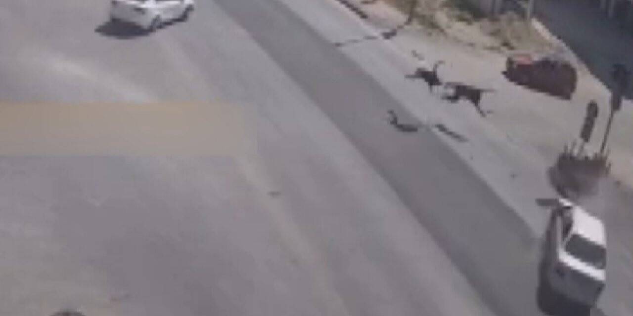 Konya'da motosiklet sürücüsünün öldüğü kaza kamerada