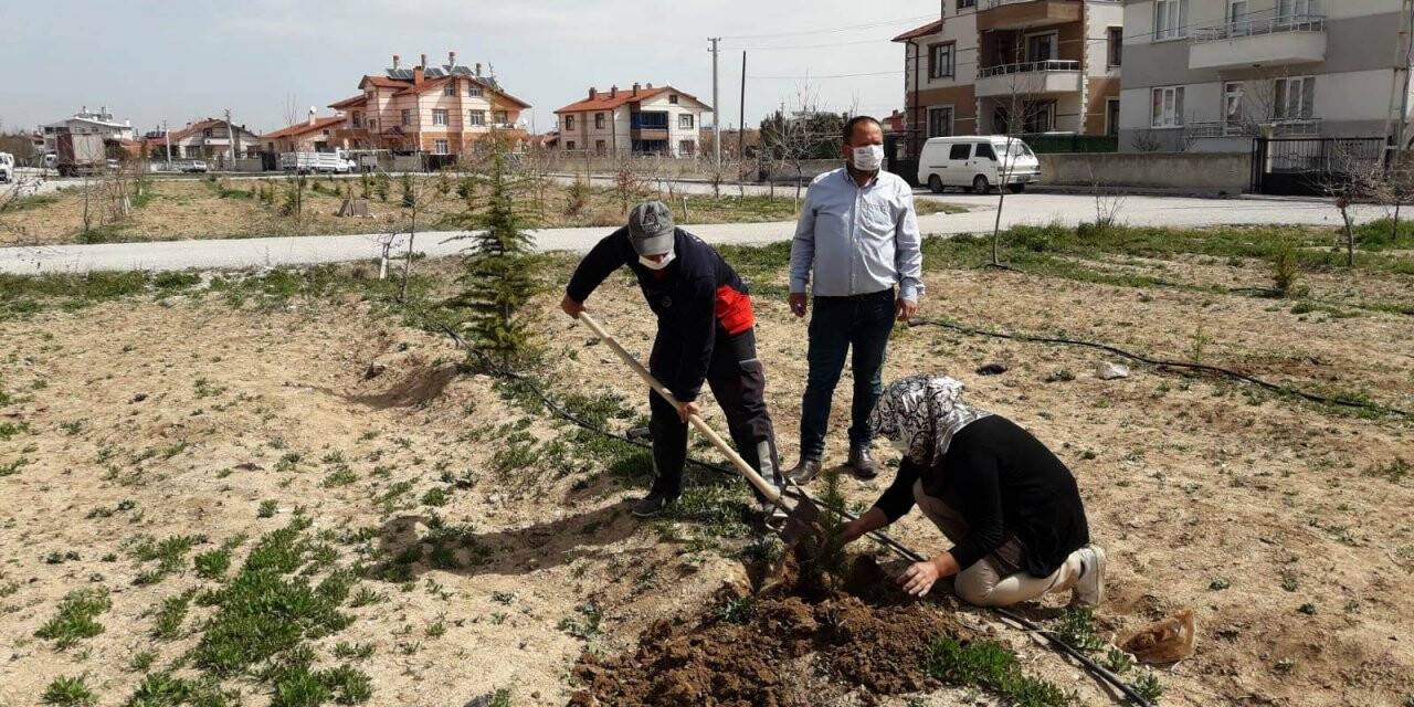 İklim Değişikliğine Dikkat Çektiler