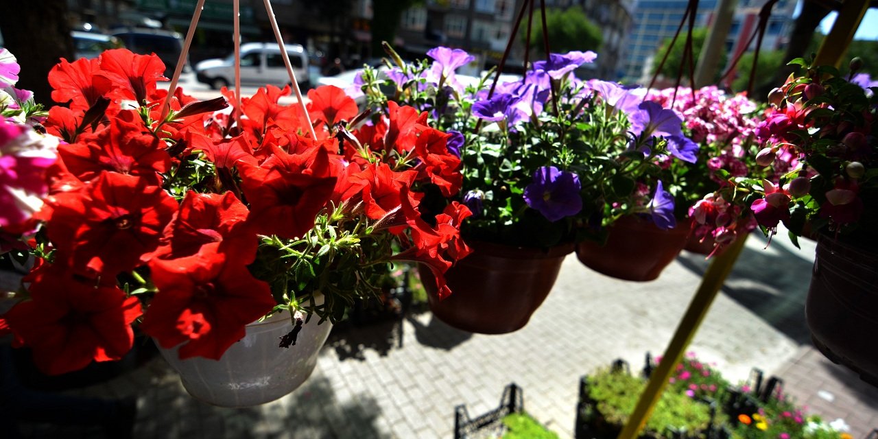 Konya'da çiçekçilerde bahar dönemi yoğunluğu yaşanıyor