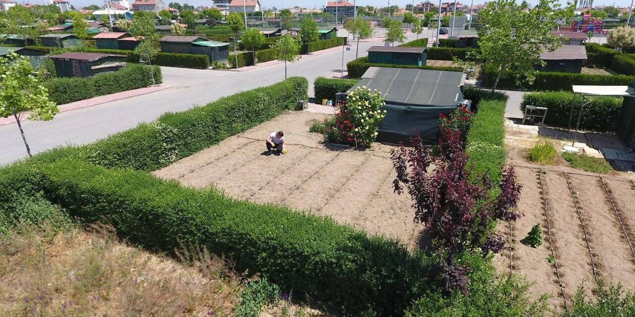 Karatay Belediyesi Hobi Bahçeleri’nde Tatlı Telaş
