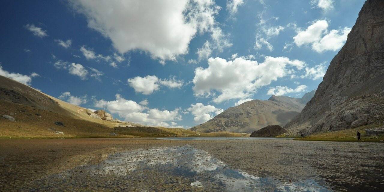 Bolkar Dağları dünyada tek ötmeyen kurbağaya ev sahipliği yapıyor