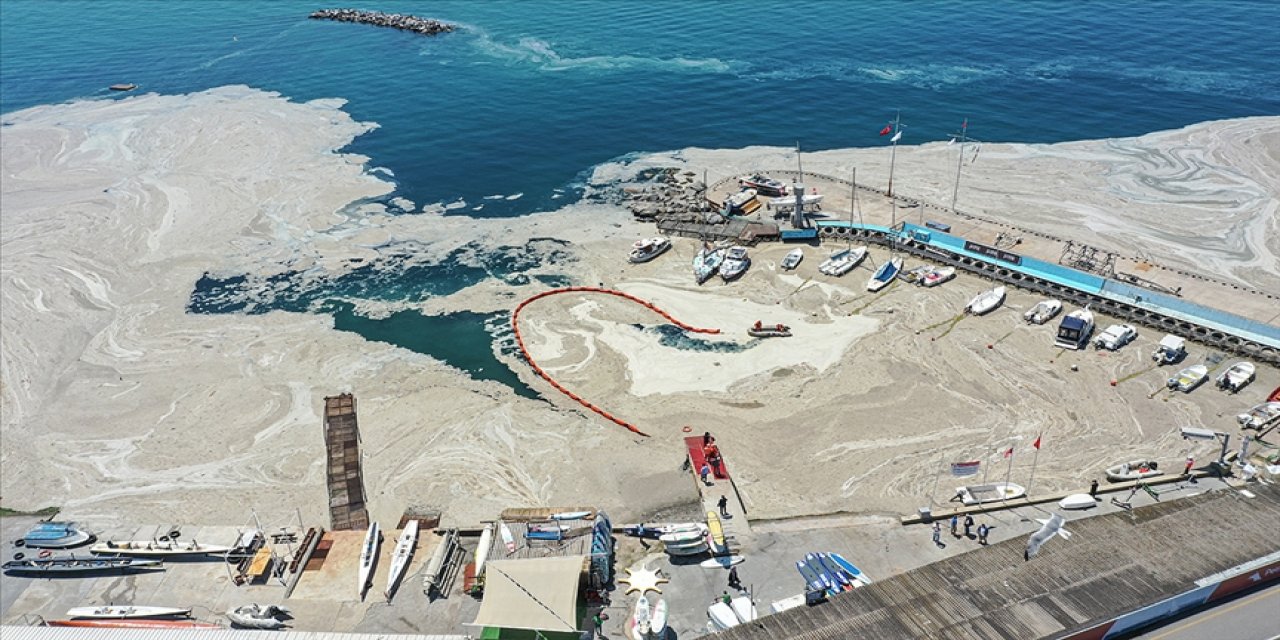 Bakanlıktan 'müsilaj' genelgesi: Türkiye'nin en büyük deniz temizliği seferberliği başlatılacak