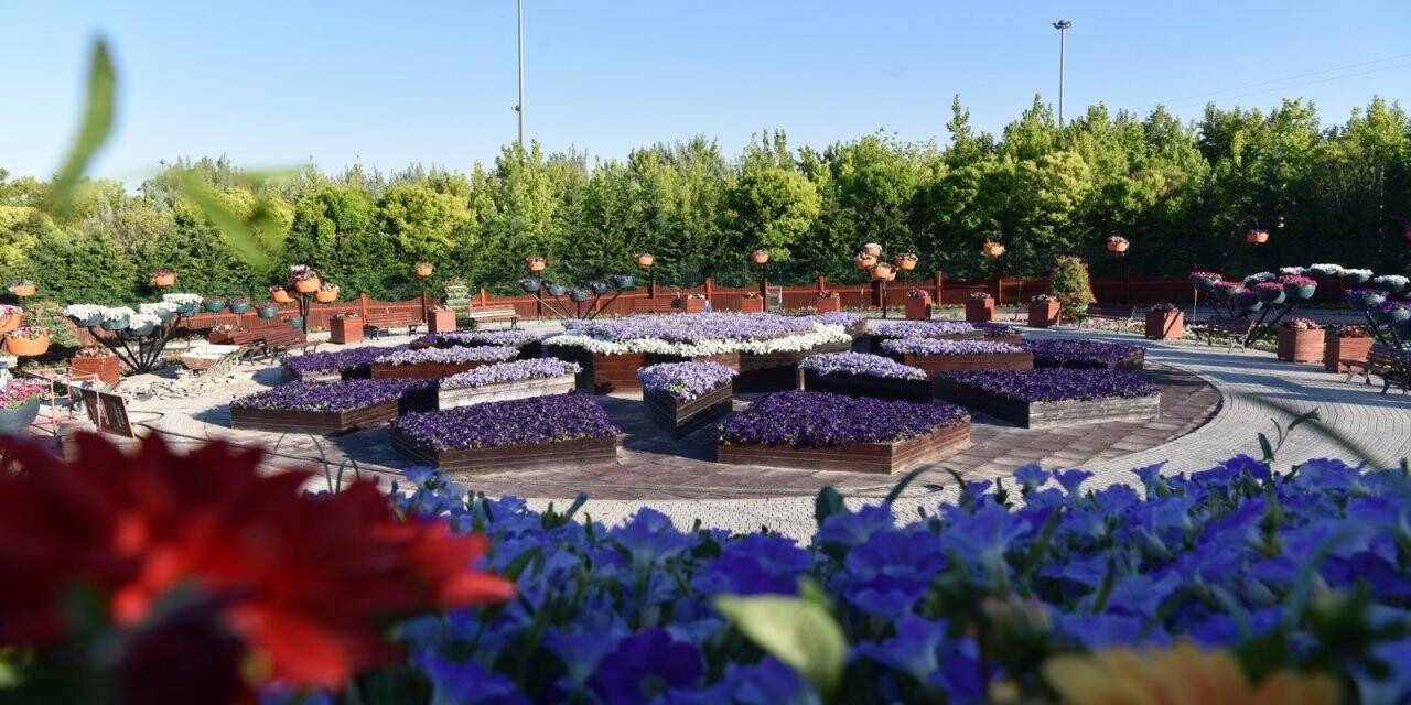 Selçuklu çiçek açtı