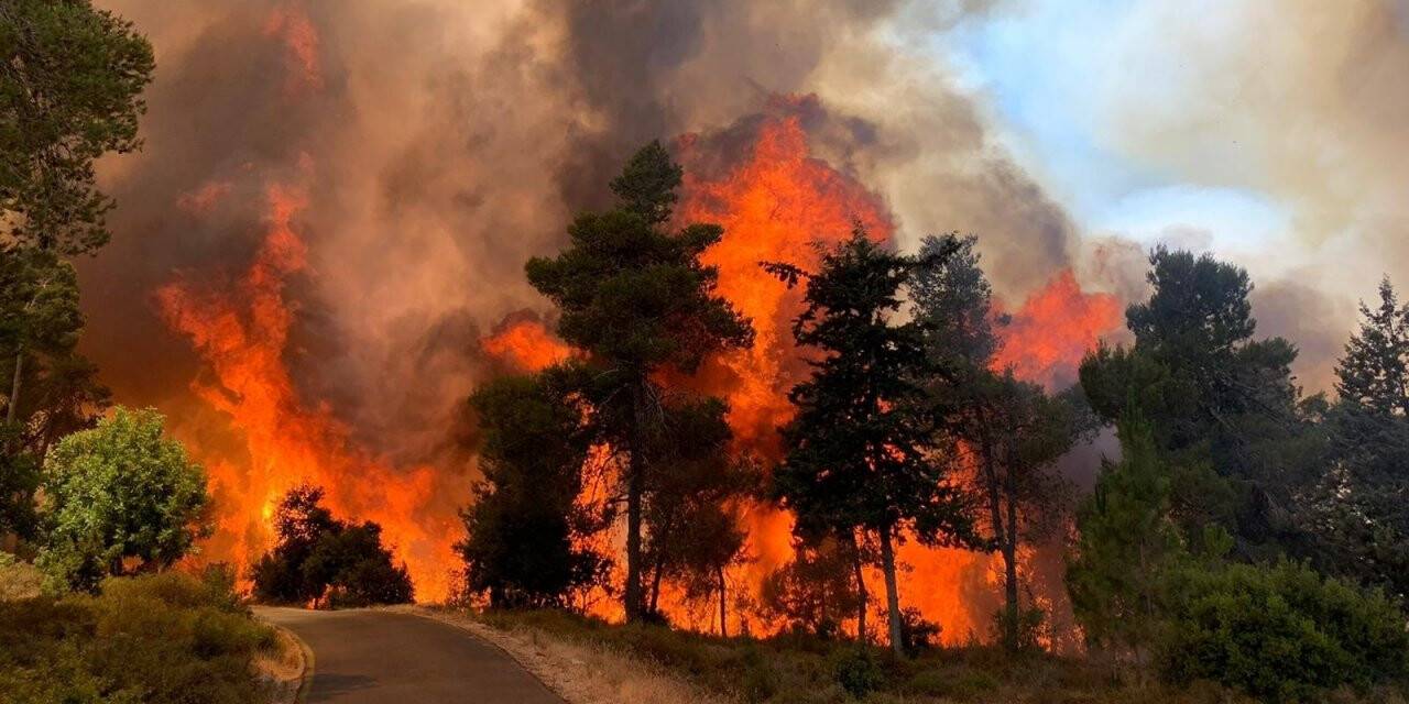 Kudüs’te çıkan yangında 2 bin 650 dönüm arazi kül oldu