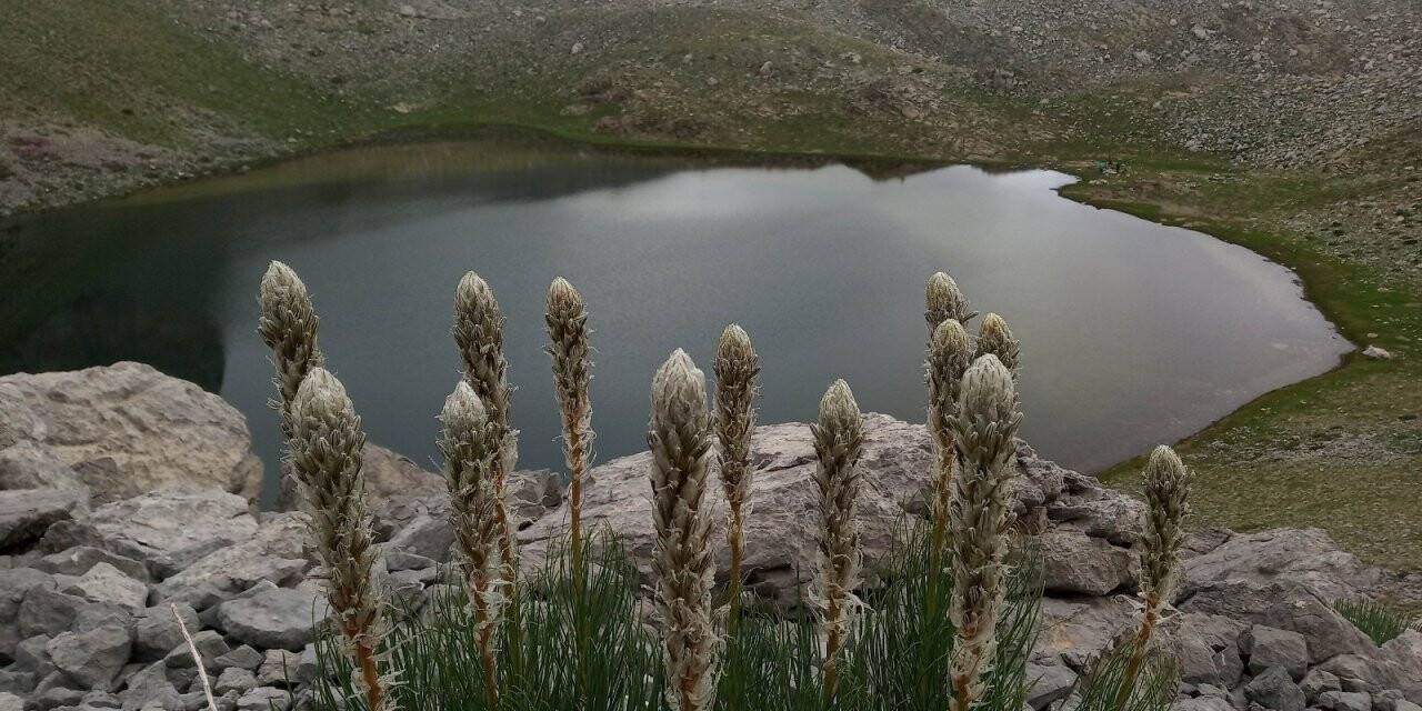Doğa tutkunlarının gözdesi: Karagöl