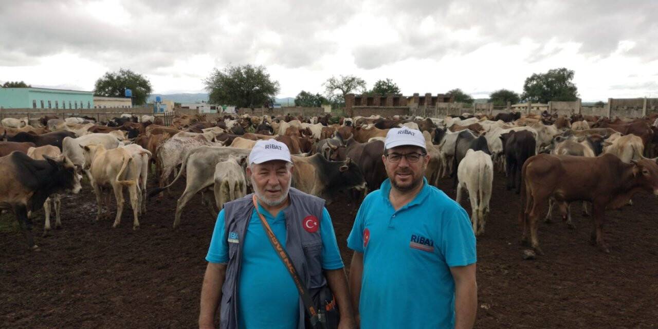 Ribat 2021 kurban fiyatlarını açıkladı