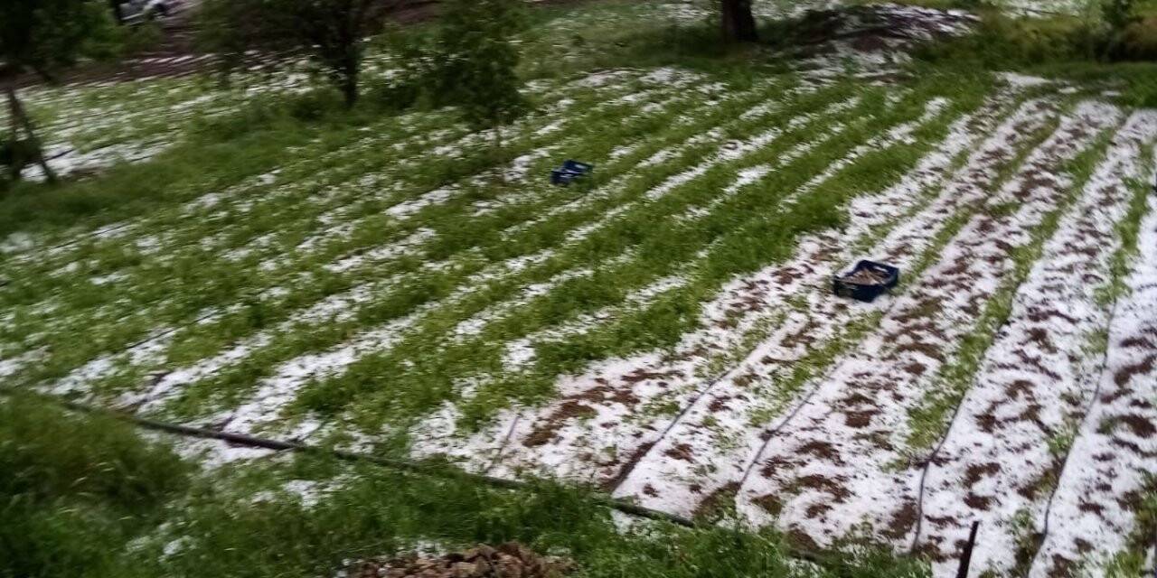 Bursa’da dolu yağışı mahsullere zarar verdi