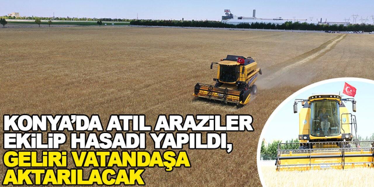 Konya’da atıl araziler ekilip hasadı yapıldı, geliri vatandaşa aktarılacak