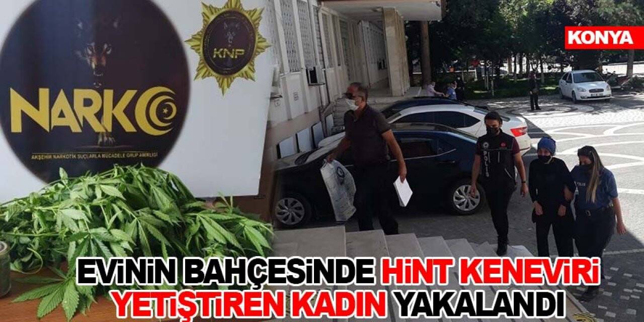 Evinin bahçesinde Hint keneviri yetiştiren kadın yakalandı