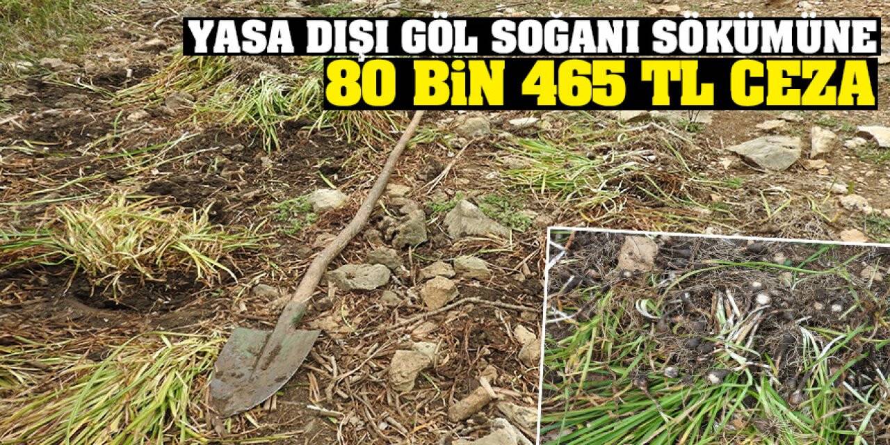Konya'da yasa dışı göl soğanı sökümüne 80 bin 465 TL ceza