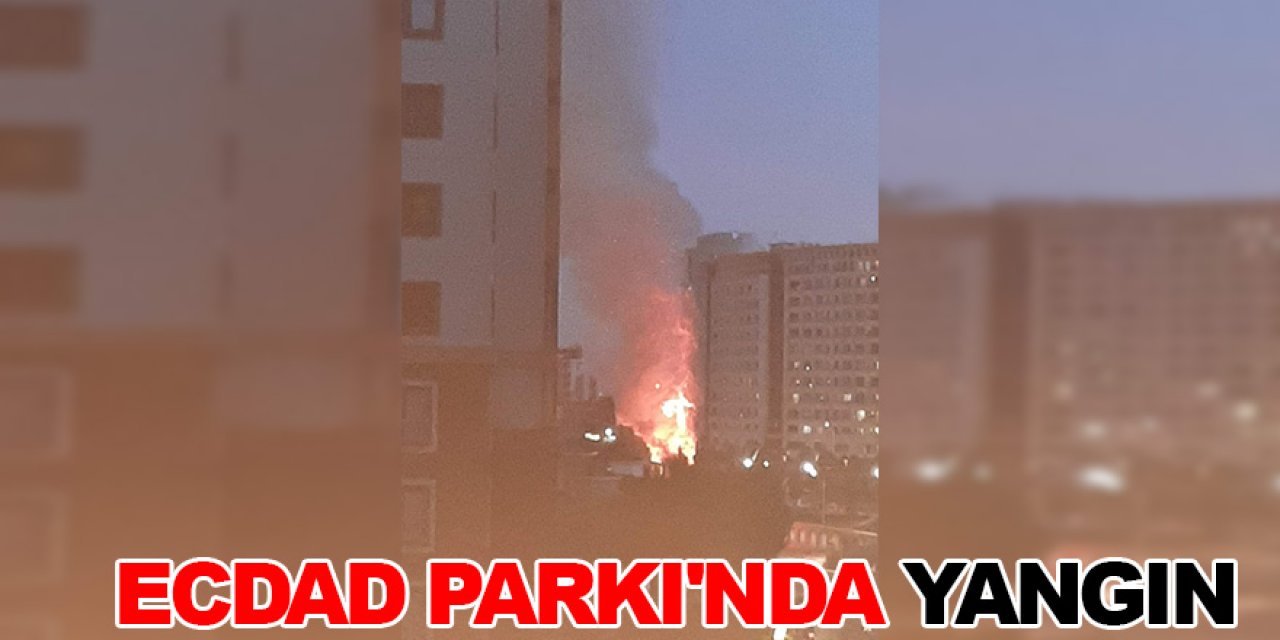 Konya Ecdad Parkı'nda korkutan yangın