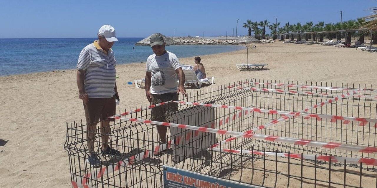 Didim’de 1 yıl aradan sonra Carettalar yumurta bıraktı