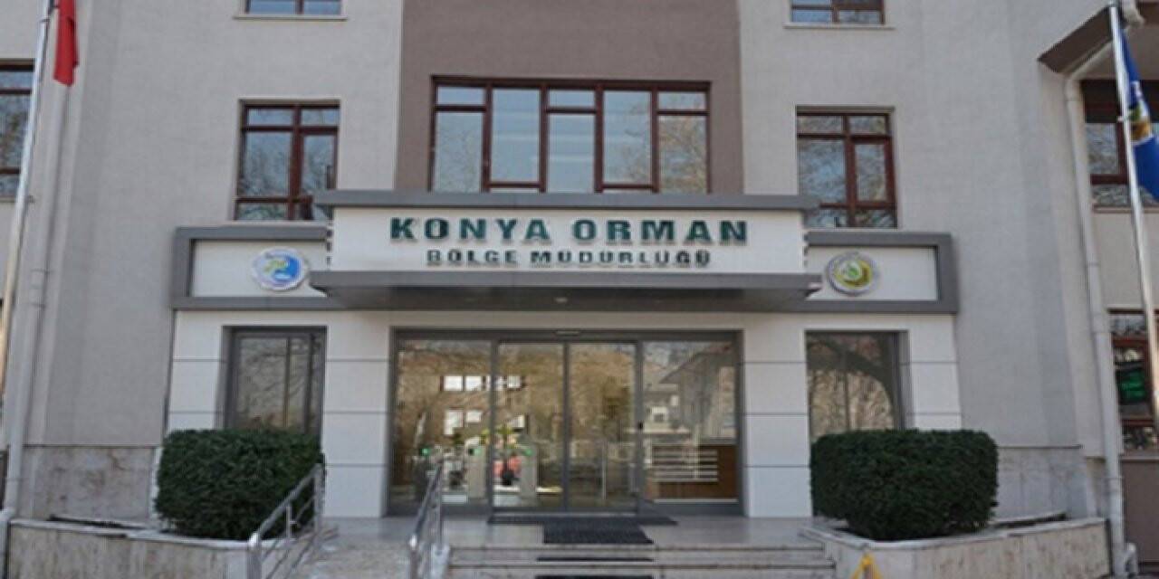 Enerji Nakil Hattı yaptırılacak