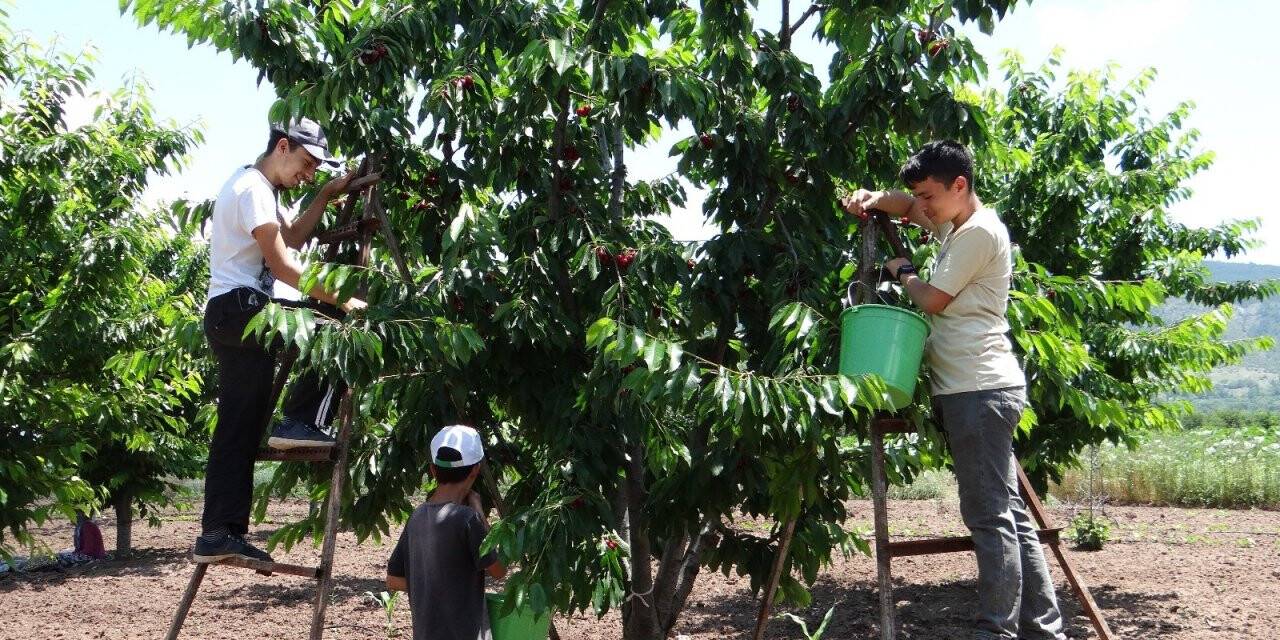 Yerinde 5, büyük marketlerde 20 lira