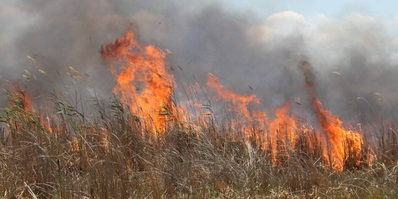 Beyşehir Gölü kenarındaki sazlık alan alev alev yandı