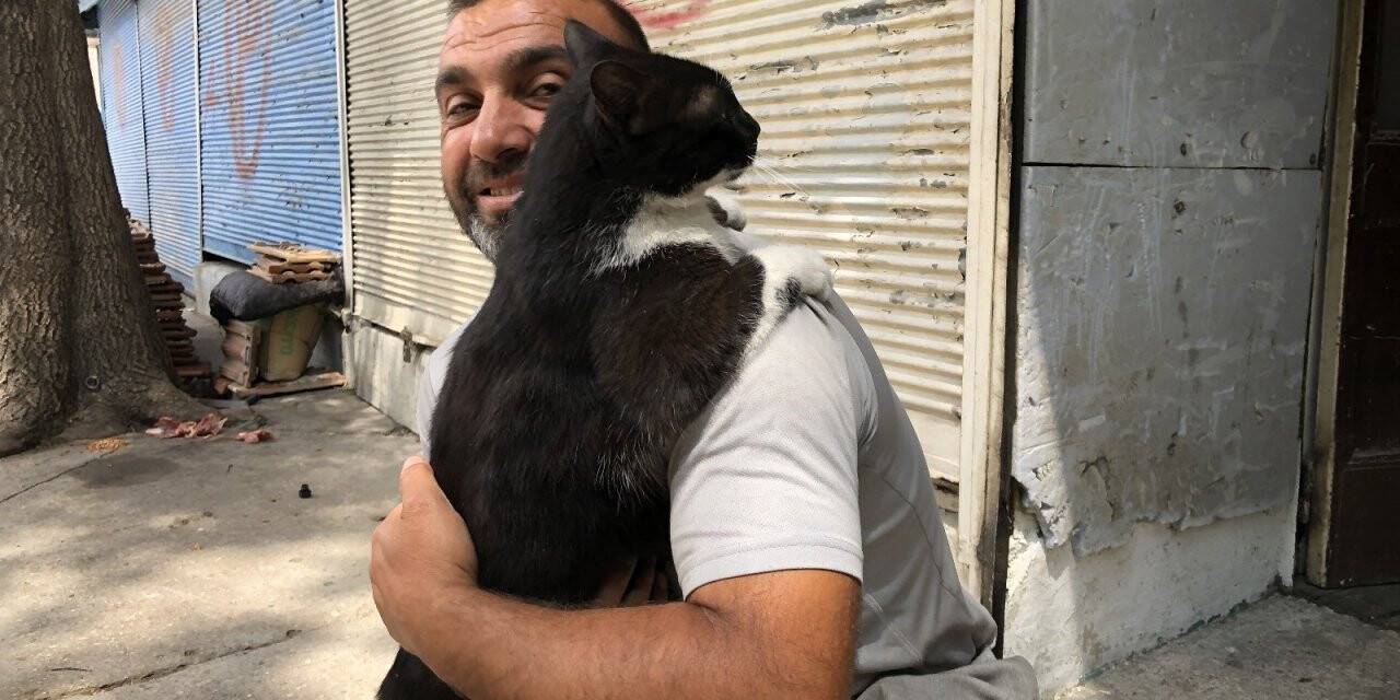Kedi her sabah sahibini kapıda karşılayarak kucaklıyor
